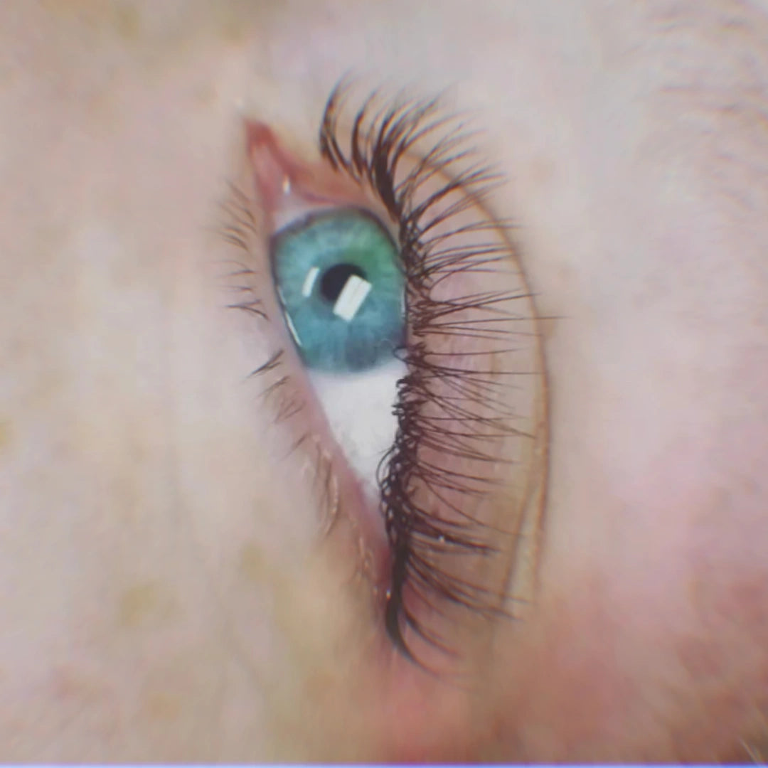 Brunette Collection 11mm- Single Lengths (18 Lines Tray)